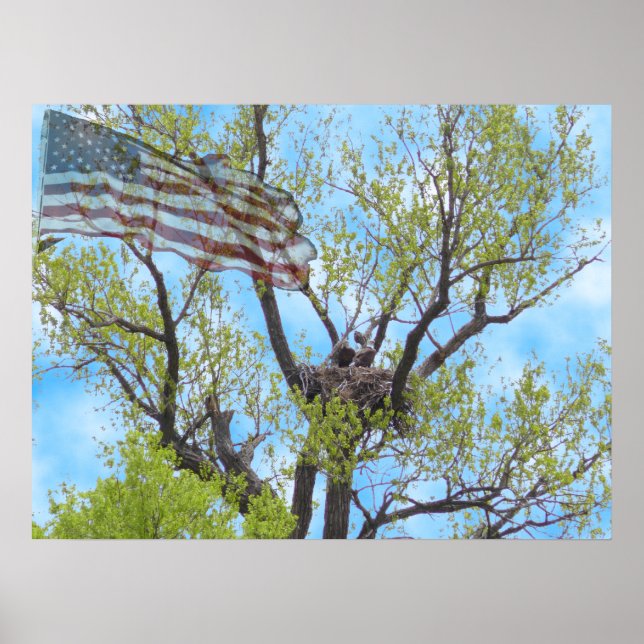 Geist der Freiheit - Poster (Vorne)