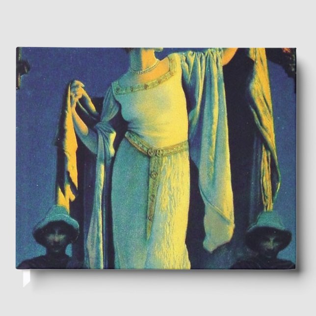 Geist der Nacht - Maxfield Parrish Gästebuch (Vorderseite)