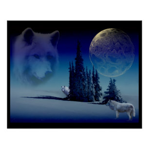 Geist der Wälder Poster