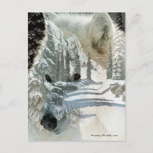 Geist der Wildnis Postkarte (Vorderseite)