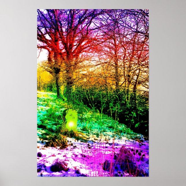 Geist der Winterkunst Poster (Vorne)