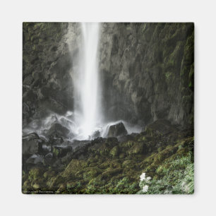 Geist des Beckens Magnet