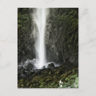 Geist des Beckens Postkarte