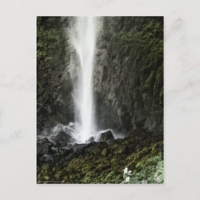 Geist des Beckens Postkarte (Vorderseite)