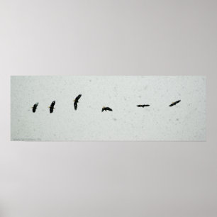 Geist des Fluges Poster