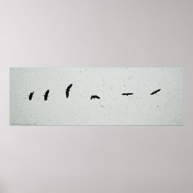 Geist des Fluges Poster (Vorne)