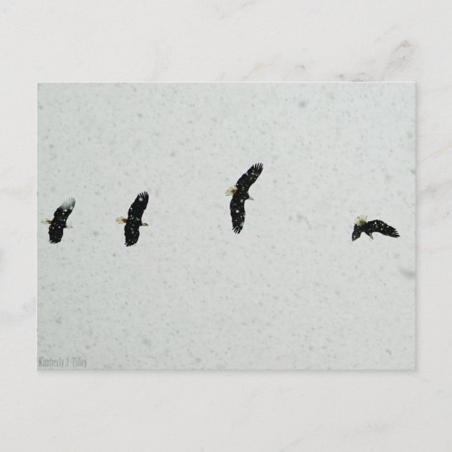 Geist des Fluges Postkarte (Vorderseite)