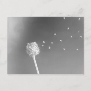 Geist des Windes Postkarte