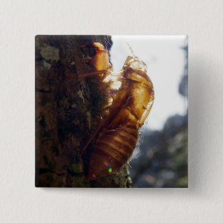 Geist einer Muschel Button
