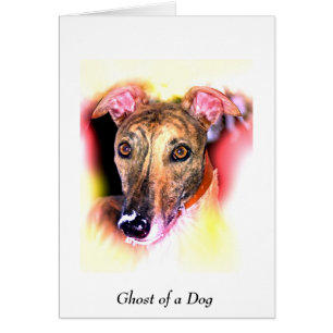 Geist eines Hundes
