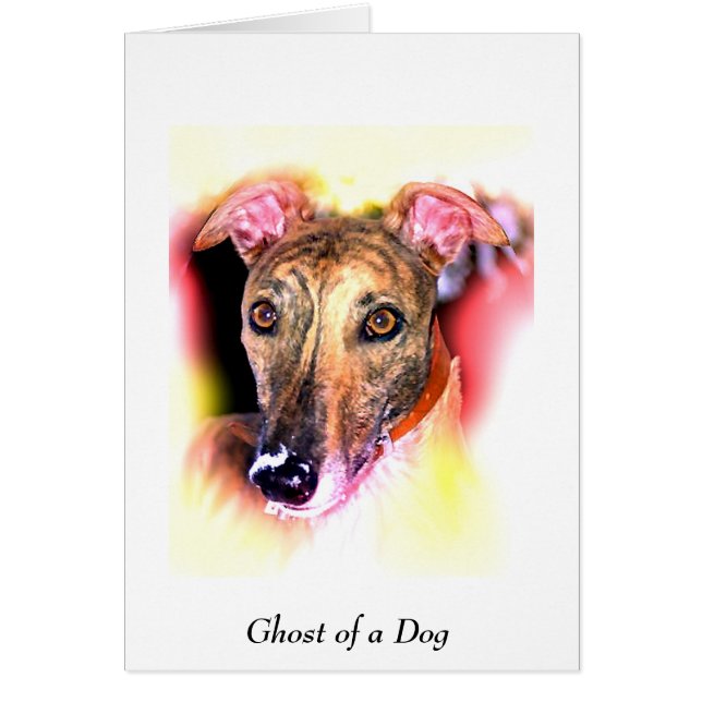 Geist eines Hundes (Vorne)