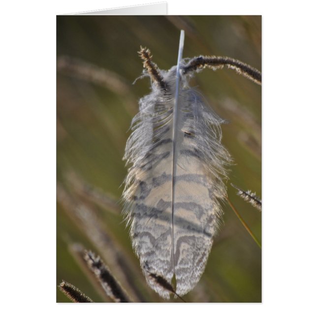 Geist-Feder täglich (Vorne)