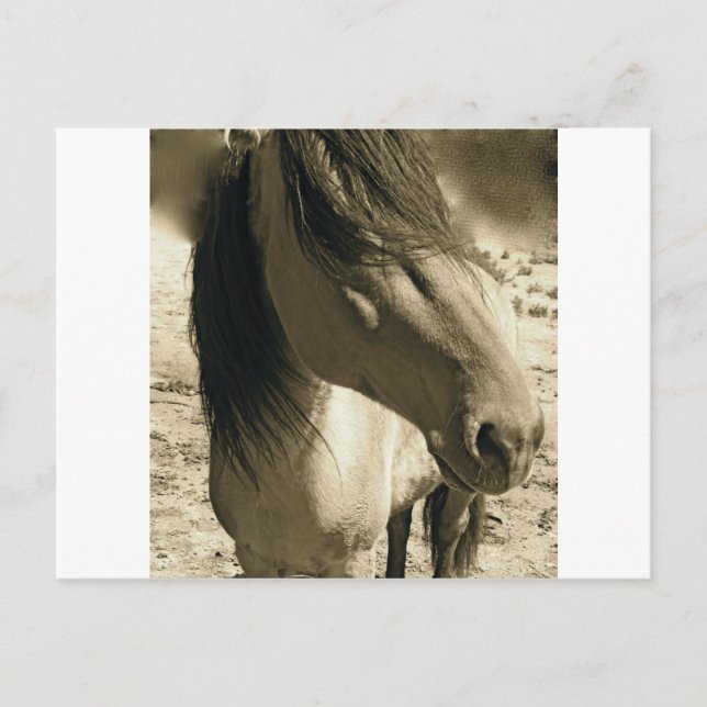 Geist Postkarte (Vorderseite)