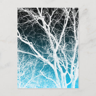 Geisterbaum Postkarte