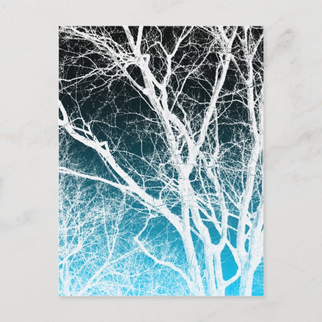 Geisterbaum Postkarte (Vorderseite)