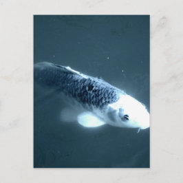 ‚Geisterfisch‘ Postkarte