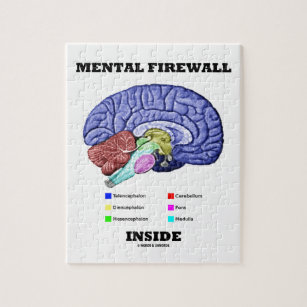 Geistesbrandmauer-Innere (anatomisches Gehirn) Puzzle