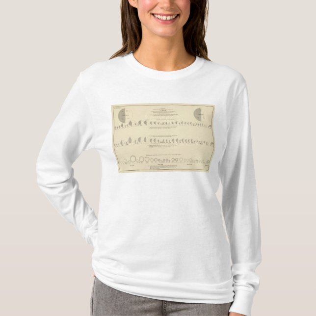 Geisteskranke, statistische US-Lithographie 1870 T-Shirt (Vorderseite)
