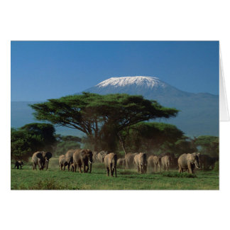 Geistliche des Mt.Kilimanjaro