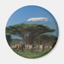 Geistliche des Mt.Kilimanjaro