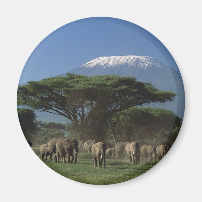Geistliche des Mt.Kilimanjaro Magnet (Vorne)