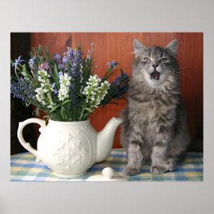 "Gejaule", die Gesang-Katze Poster