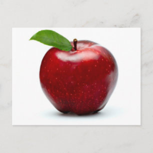 GEKENNZEICHNET POSTKARTE