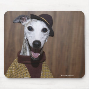 Gekleideter oben Whippet Hund an spielendem Tisch Mousepad