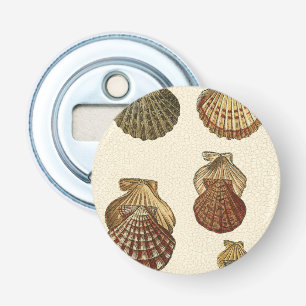 Geknisterte antike Muscheln Flaschenöffner