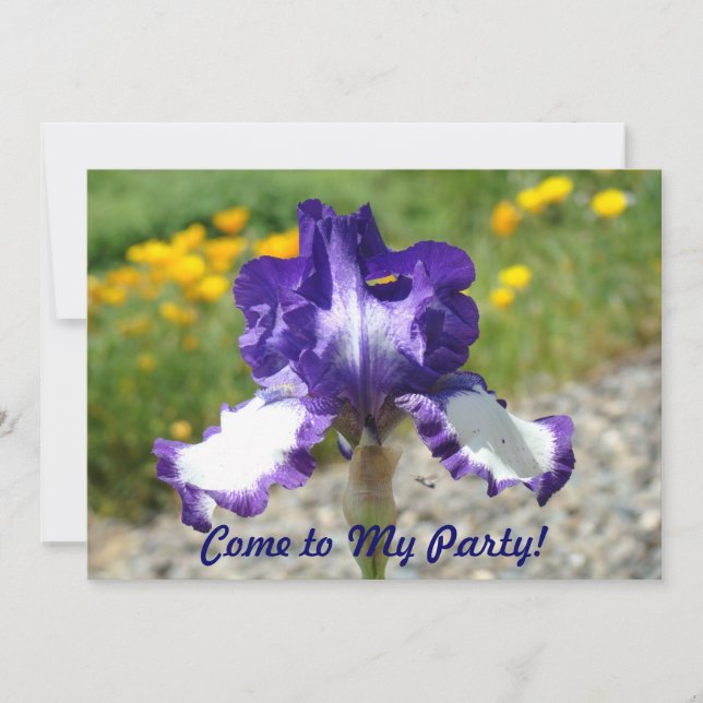 Gekommen zu meinem Party! Einladung (Vorderseite)