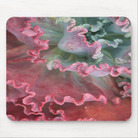 Gekräuseltes echeveria mousepad