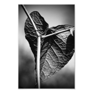 gekreuztes Herz Fotodruck