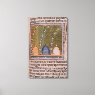 Gekrümmte Linien des Bestiary drei Leinwanddruck