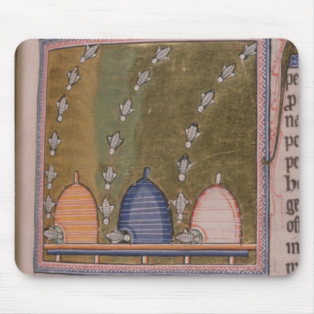 Gekrümmte Linien des Bestiary drei Mousepad (Vorne)