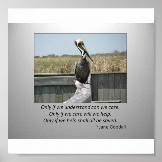 Gekümmert Poster (Vorne)