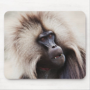 Gelada Baboon, Äthiopien Mousepad
