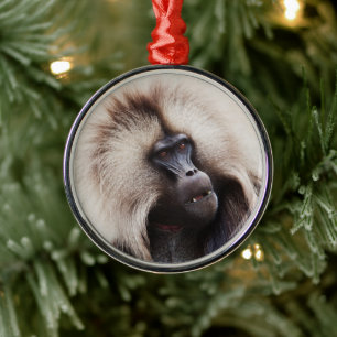Gelada Baboon, Äthiopien Ornament Aus Metall