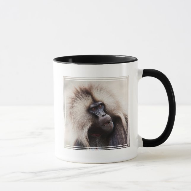 Gelada Baboon, Äthiopien Tasse (Rechts)