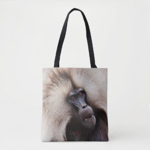 Gelada-Pavian, Äthiopien