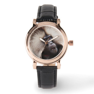 Gelada-Pavian, Äthiopien Armbanduhr