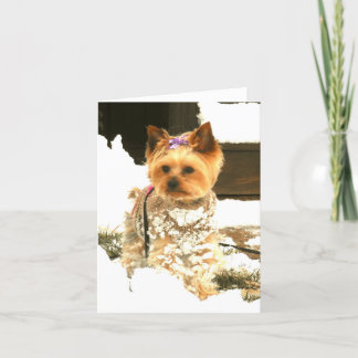 Gelassen ihm schneien Anmerkungs-Karte Feiertagskarte