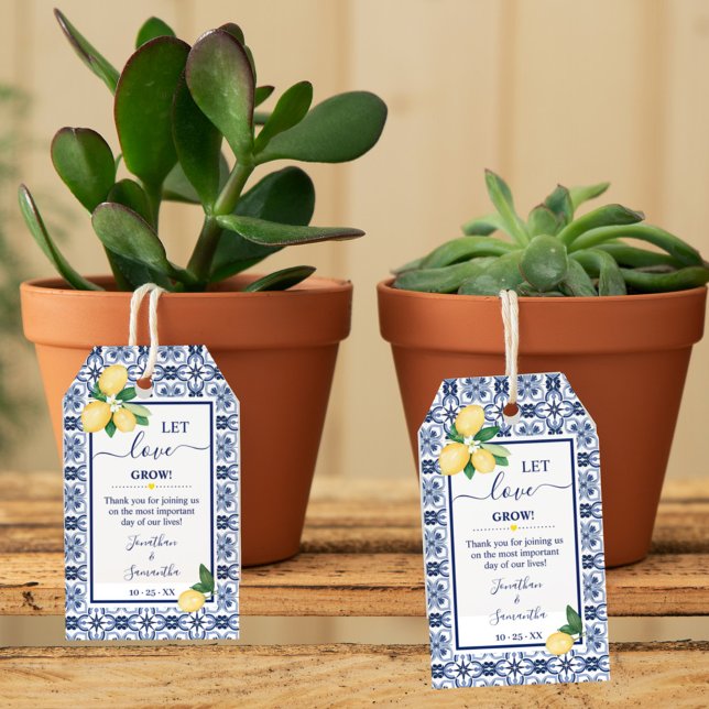 Gelassen Liebe Grow Mediterrane Zitronen Dusche Ge Geschenkanhänger (Let Love Grow Mediterranean Lemons Favor Tag, Couples Shower, Wedding Shower, Bridal Shower)