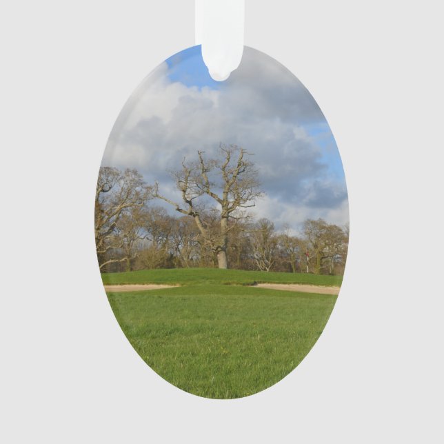 Gelassen uns Golf spielen Ornament (Vorderseite)