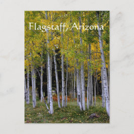 Gelassenheit in Gold und Green Aspen's Vorreiterte Postkarte