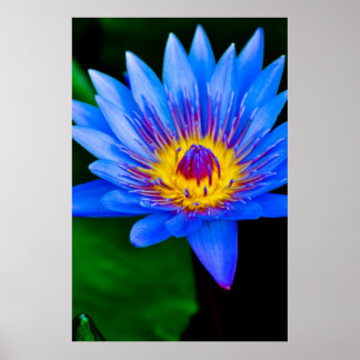 Gelassenheit - Poster