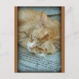 Gelassenheit Postkarte