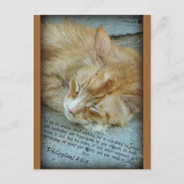 Gelassenheit Postkarte (Vorderseite)