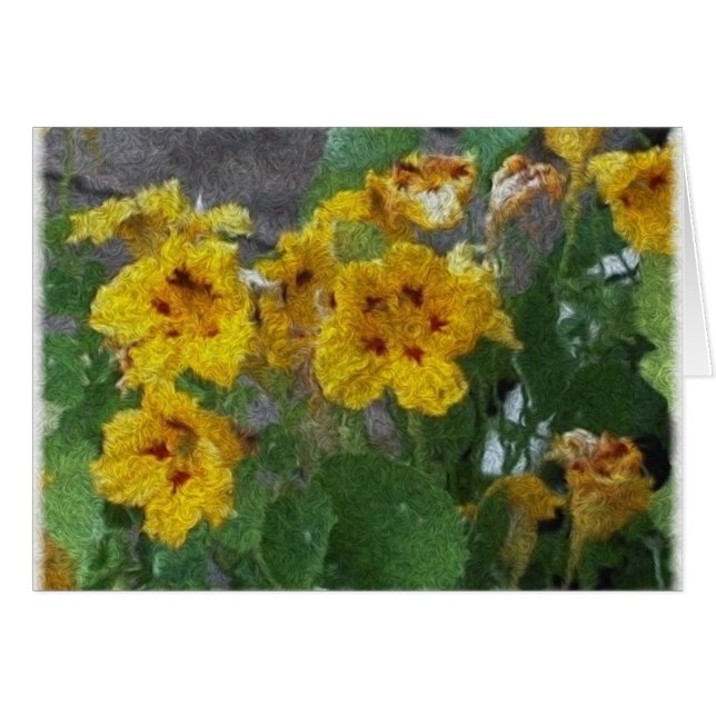 gelb (Vorderseite (Horizontal))