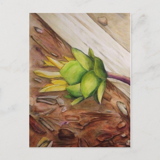 "Gelb 1" Postkarte (Vorderseite)