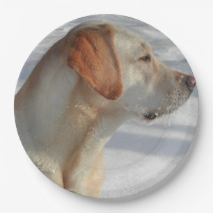 Gelb 4 Labrador Pappteller